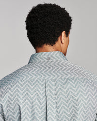 Back view of a man wearing a light blue and gray patterned button-down shirt, showing the collar and shoulder area against a solid gray background.