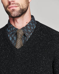 Close-up of a man wearing a black speckled V-neck sweater over a patterned blue and brown dress shirt with a striped tie, against a light gray background.