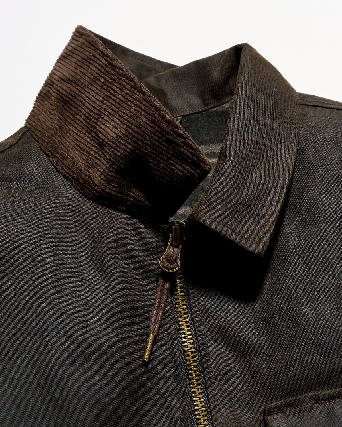 Corduroy at the Undercollar